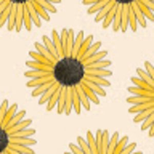 Meet your Posher, Evelynn